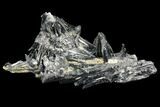 Metallic Stibnite Crystal Cluster - China #97820-1